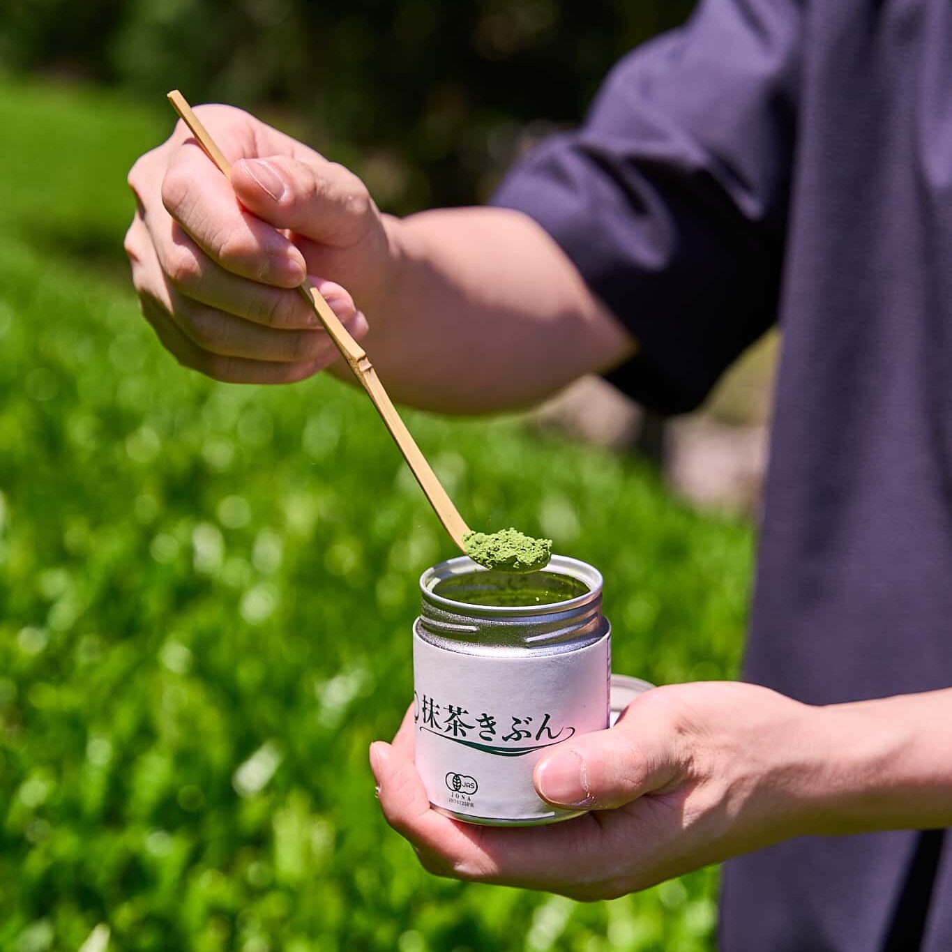 抹茶きぶんの抹茶「さやまかおり」
